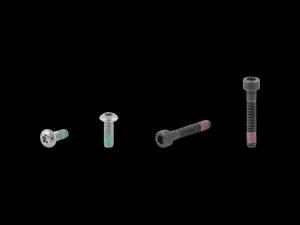 Electra Townie Go! 5i Rack Bolt Set