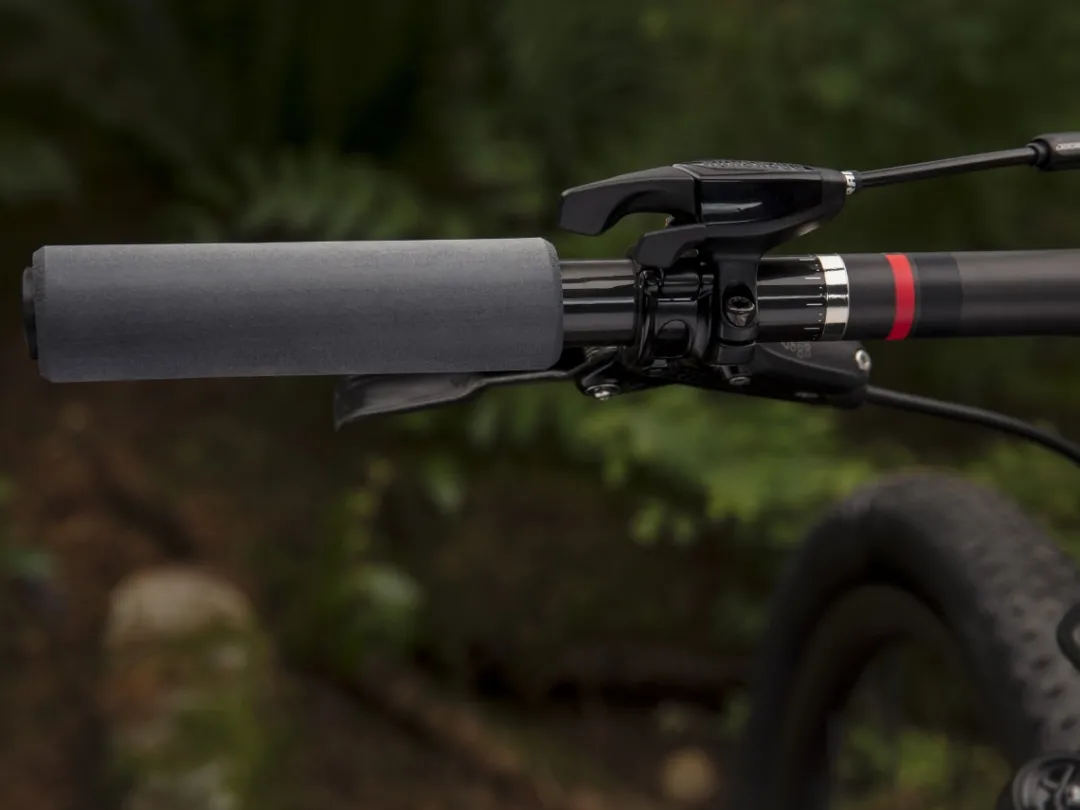 Procaliber 9.9 SL