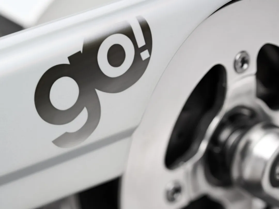 Townie Go! 5i Step-Thru