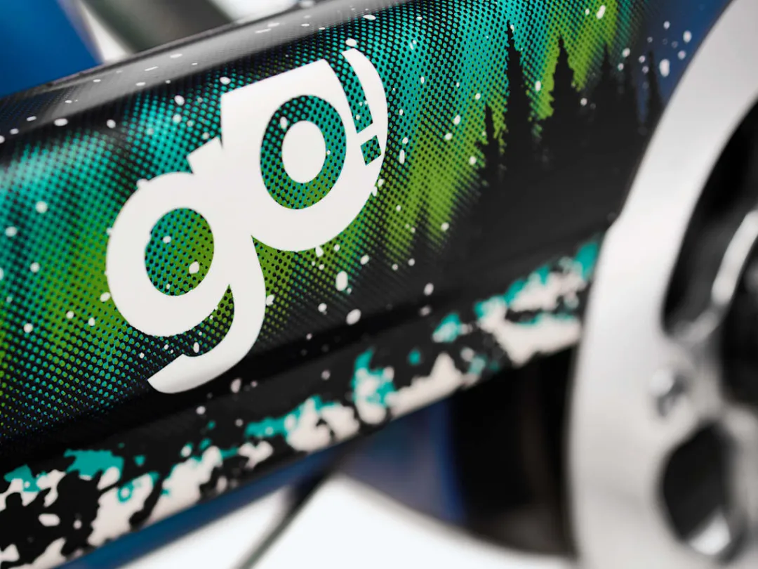 Townie Go! 5i Step-Thru