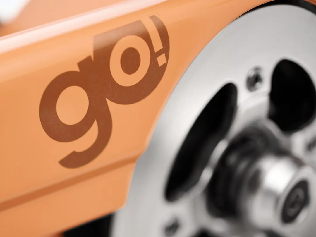 Townie Go! 5i Step-Thru