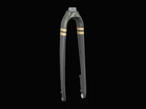 Trek 2021 Checkpoint SL 700c Rigid Forks