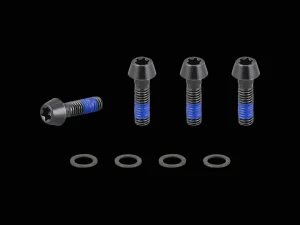 Trek 2021 E-Caliber 29 Chainstay Bridge M6x1x20mm Bolts
