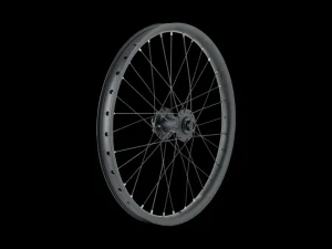 Trek Cargo Bike 6-Bolt Disc 20" Wheel