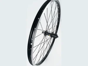 Trek Kids' Quick Release Center Lock Disc 24" Wheel